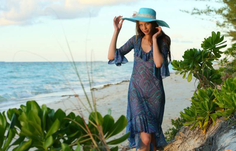 Элегантная шатенка эротично снимает платье на пляже