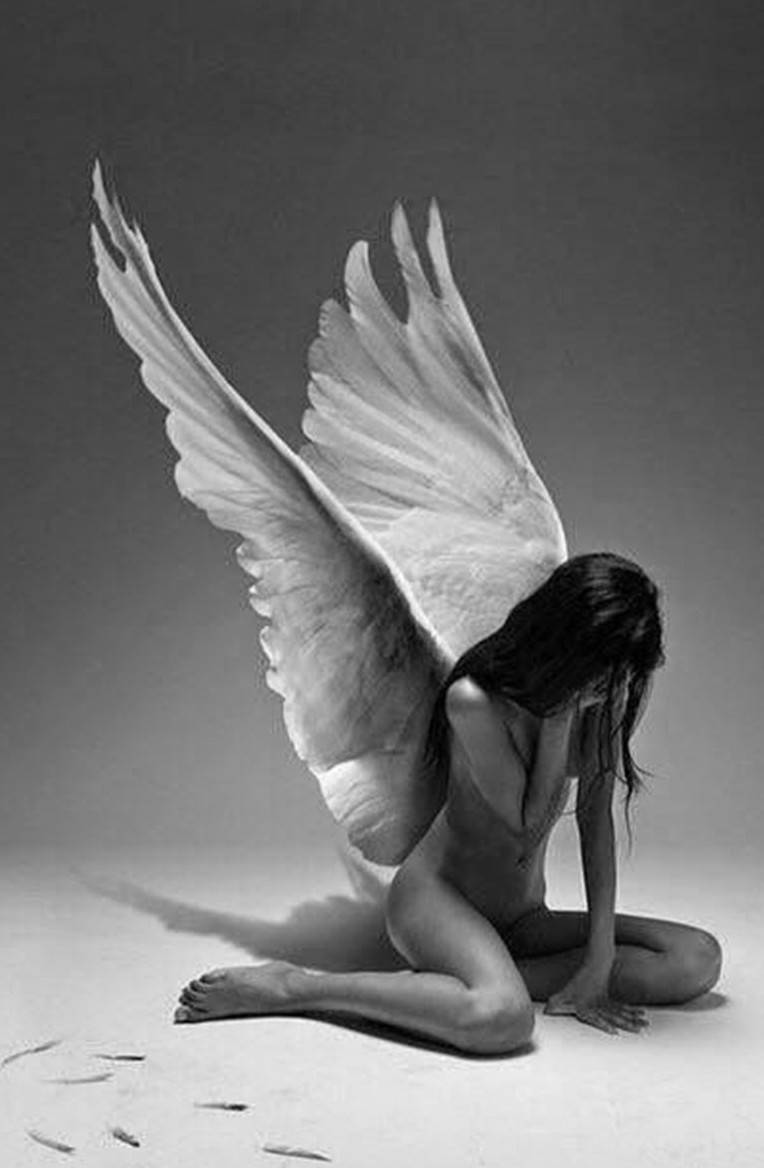 Фото: 💥 Девушка с крыльями